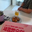 베스트피씨카페 도화점 | 세종도화 빵숭아 16구 찐 후기! 세종답례품 &amp; 세종기념품맛집 추천