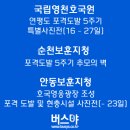 영천의 영웅(애도) 이미지