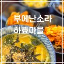 쇠소깍해녀식당(맛) | 쇠소깍맛집 부에난소라 하효마을 내돈내산 현지인맛집 서귀포보말죽 솔직후기