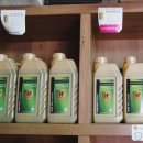 애니카랜드 무거점 이미지