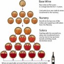 [슥 쳐다보지 않아도 되는 와인 상식] 솔레라 시스템( solera system) 이미지