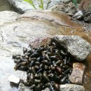 중원계곡펜션 이미지