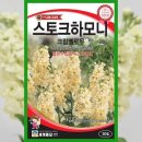 씨드하모니 이미지