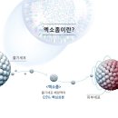 미몽피부과의원 이미지