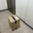 오프화이트신세계 | 조지루시 대용량 가열식 가습기 4L 오프화이트 색상 내돈내산 구매 사용 후기 (EE-DVH35K)