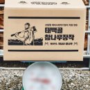 (주)태백골