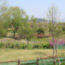 봉동 자전거 대여소 이미지