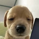 살랑살랑 이미지