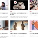 우먼센스 카카오 검색결과