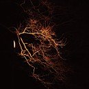 구미시문화예술회관 대공연장 이미지