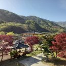 메아리마을 네이버블로그