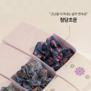 단하 이미지