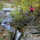 아랫대티 숲 이미지