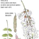 지오숲어린이집 이미지