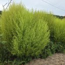 무장농협하나로마트 이미지