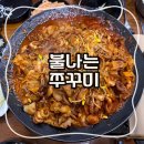 [천안맛집] 불나는쭈꾸미 유량점