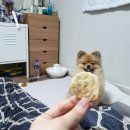 하대동181 | 나의 일상들