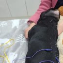 두암한방병원 이미지