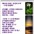 강가의 추억 이미지