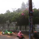 (주)비비비 이미지