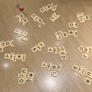 티익스프레스보다 더 T인 블로그