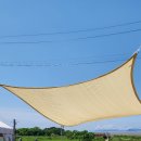 오느른 미 이미지