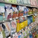 온힐펫 당하점 이미지