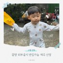 옥수수민박 | 광양 외부 음식 반입가능 계곡산장 고향민박 후기｜아기랑 물놀이 최고