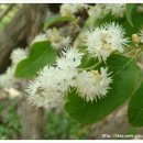 처용공업사 이미지