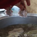 웰빙옹심이 이미지