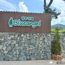 블루엔젤풀빌라A 이미지