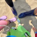장안(아)(미운영) | 2024하나개 해수욕장에서 갯벌체험하기ㅣ서울근교조개잡기ㅣ포내갯벌체험장(준비물ㅣ체험비ㅣ조개포인트...