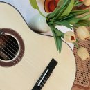 클래식&포크기타(입문) 이미지