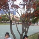 서항근린공원 이미지