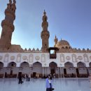 카오스자동차서비스 | [2509 이집트]#2 혼돈의 카오스 카이로