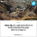 한국 듀이