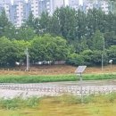 하천(갑천6) 이미지