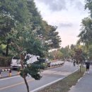 마포새빛문화숲 | 2025년도 여의도 불꽃축제 마포새빛문화숲 관람 후기 (feat: 강건너 불꽃축제)