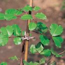 영양언니의 수제간식 이미지