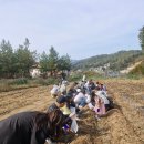 박재현농장 이미지