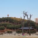 청계 청계중앙공원 매장문화재 유적 이미지