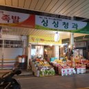 싱싱청과 이미지