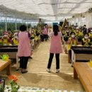 경도농장 이미지