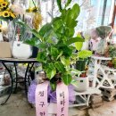 비바풋살클럽 네이버블로그