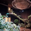 [wedding] 1. 웨딩홀 정하기_로얄파크컨벤션, 계약 후기(견적공유)