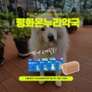 평화온누리약국 이미지