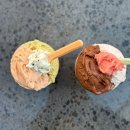 아볼 | 정자동 젤라또 :: 쫀득한 젤라또 맛집 아볼롱떼 솔직후기 및 맛 추천