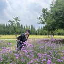 경주 가을여행 가볼만한 곳, 경상북도 경주산림환경연구원, 외나무다리에서 인생샷