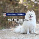 국립김천숲속야영장 이미지