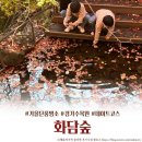 소망분재원 | 가을 단풍이 예쁜 생태수목원, 화담숲을 아시나요?
